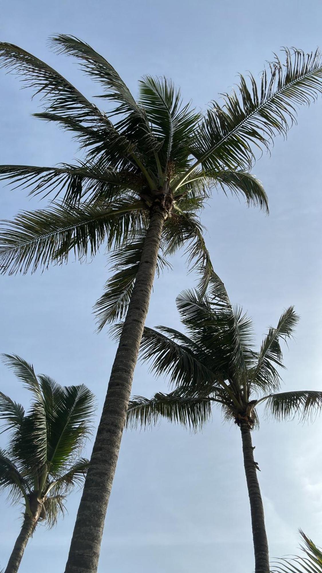 Poya Villa Ahangama Esterno foto